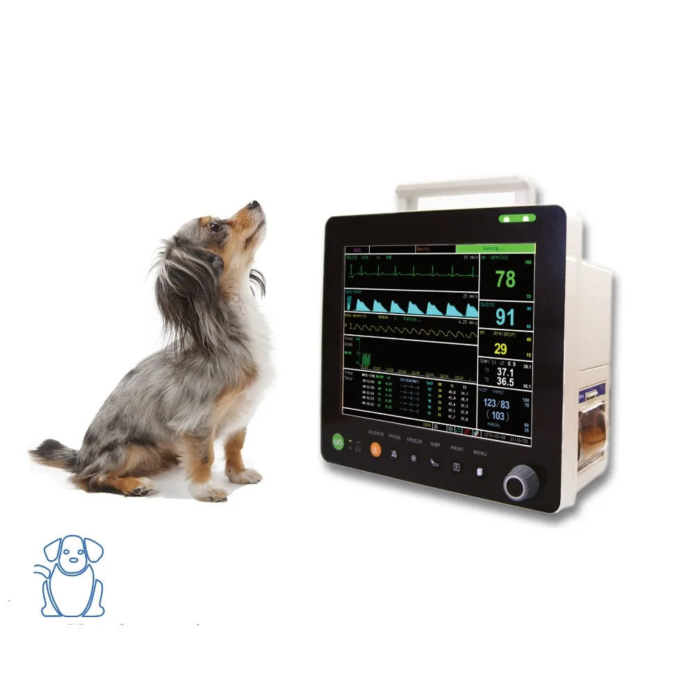 Factory direct sales PM6000V Veterinary ETCO2 Vital Signs Monitor with 6 parameters