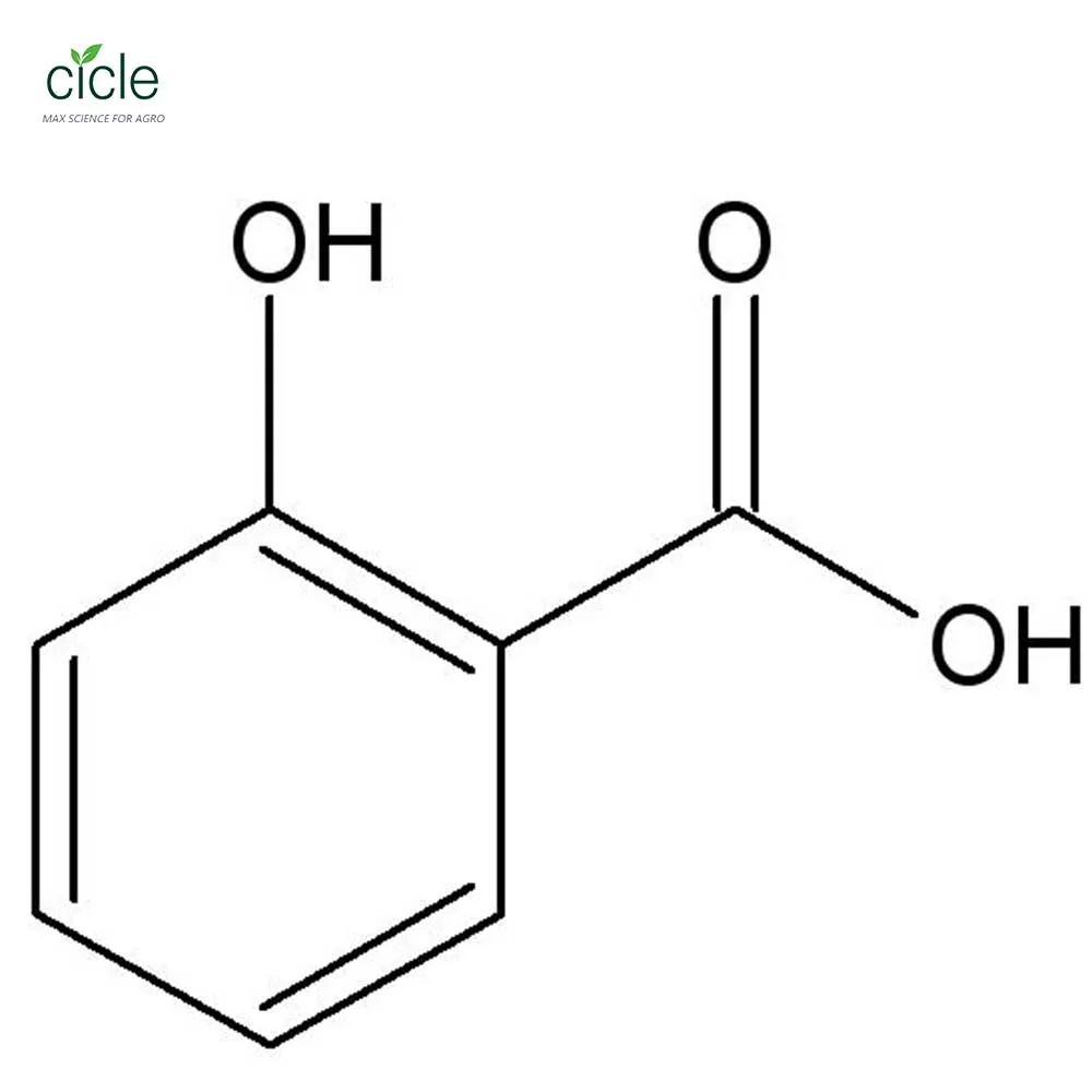 Factory price Salicylic acid 99%TC CAS 69-72-7 ACETYLSALICYLIC ACID IMPURITY C RETARDER TSA