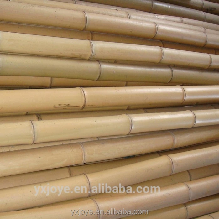 Cheap solid raw bamboo fishing pole