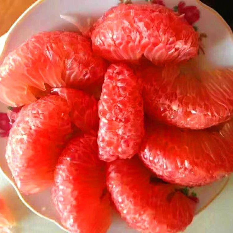 Саженцы грейпфрута Pomelo