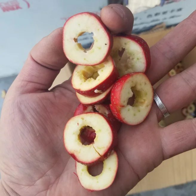 Semi-automatic Hawthorn Pitting&Slicing Machine Equipment