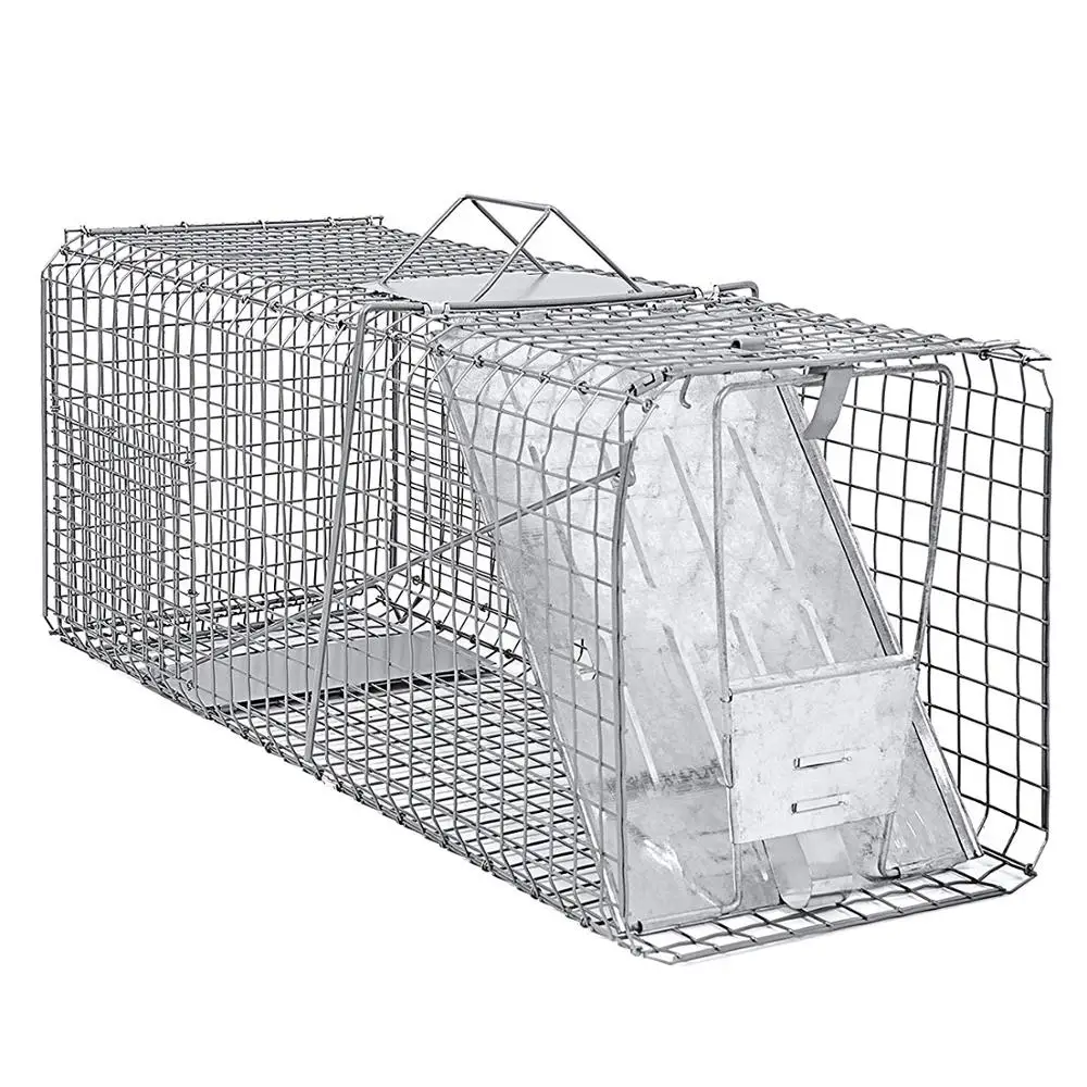 Stainless steel welded wire mesh for avian breeding