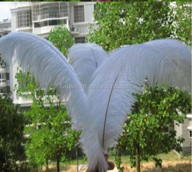 Whosale массовая Размер 40-45 см Искусственный Зеленый Страусиных Перьев для украшения венчания