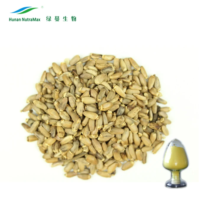 Water Soluble Milk Thistle Seed Extract Silymarin Powder 10%20%40%