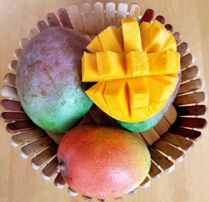 
Keitt Mango Fruit saplings 