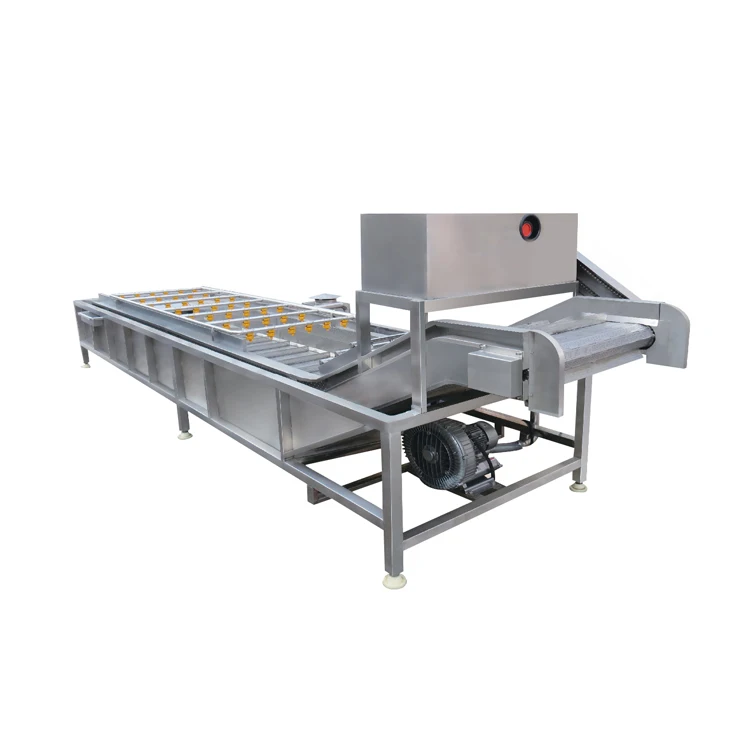 Машина для мытья и сортировки фруктов включает апельсиновые фрукты