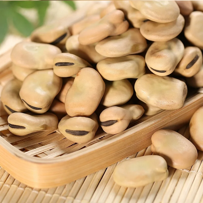 
dry whole split broad bean faba bean Organic 