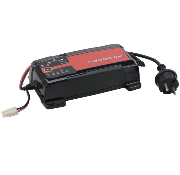 AC110V/230V car battery charger