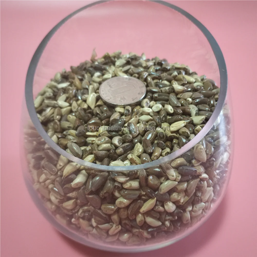 2021 Touchhealthy Supply Hybrid Mexico corn grass seeds for animal feed  1kg/bags