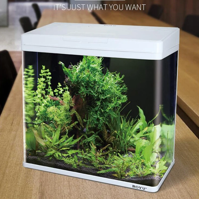 Wholesale BOYU new fish tank with novel design desktop portable mini square aquariums