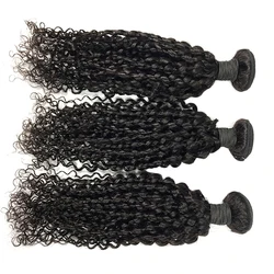 High quality Professional south east asian curly hair, cheap hair bundles human curly hair extensions,100% human hair bundles