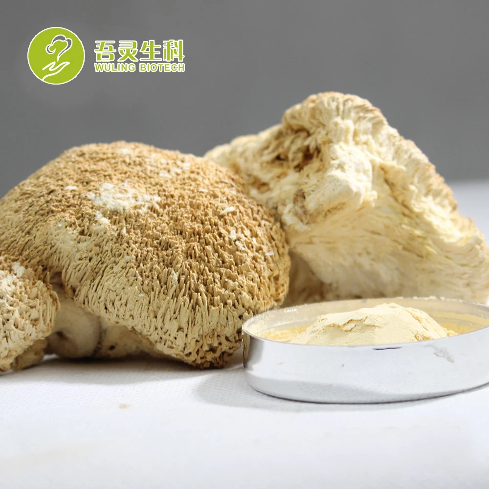 Травяной Растительный Экстракт, порошок, гриб Львиная Грива, трава