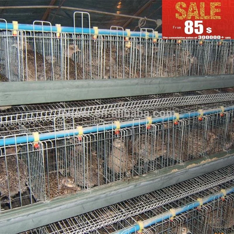 best selling second hand layer poultry cages