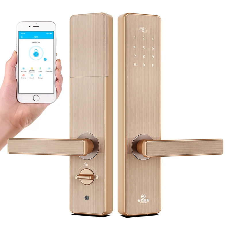 BT Wifi Smart Door Lock Electronic Digital Code RFID Card TTLock App Hotel Door Lock Security System