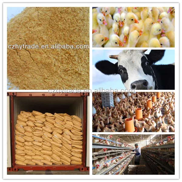 Chinese supplier yeast powder animal feed additives best price high quality