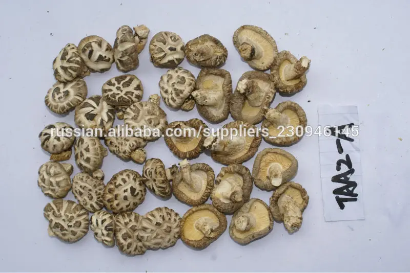 Китайские грибы шиитаке