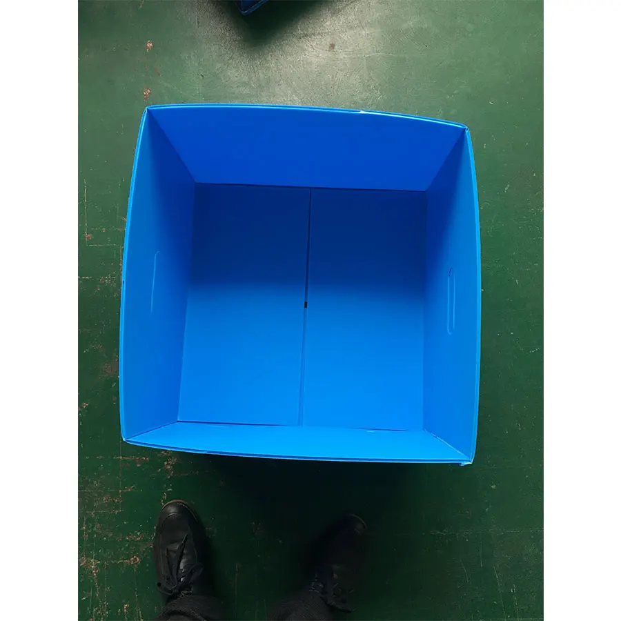 Fruit /Vegetable Packing Corrugated Plastic Box