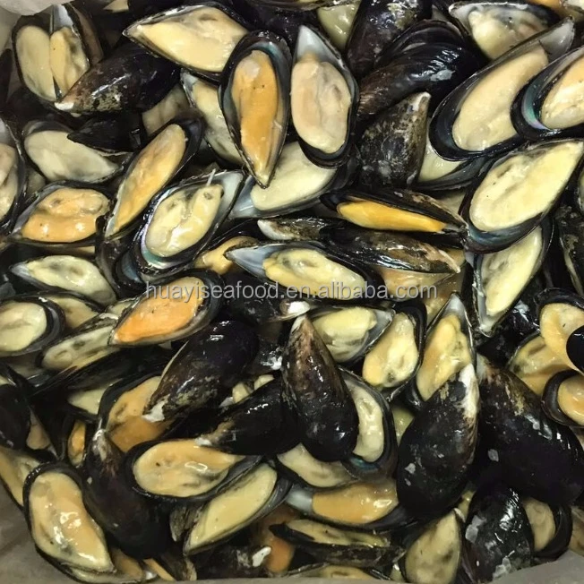 Пол оправы мидий