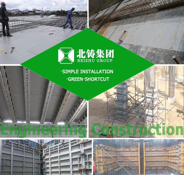 plastic formwork(11)