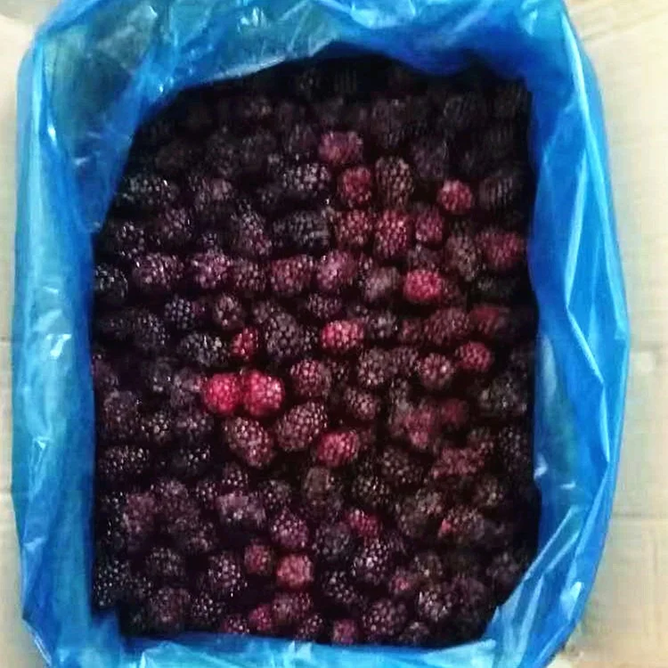 
Blackberry Frozen Fruit/IQF 