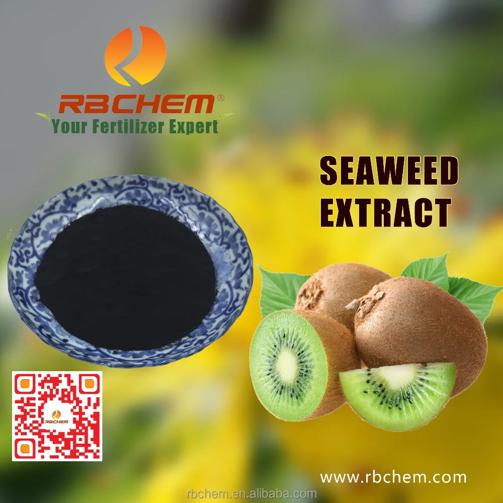 Plant Nutrients Agriculture Natural Seaweed Extract Organic Fertilizer In RBCHEM