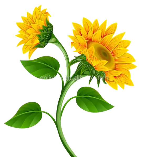 
free sample sunflower lecithin phosphatidylcholine 90% 