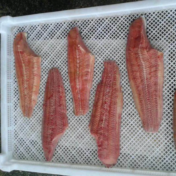 frozen catfish steak high quality fish fillet