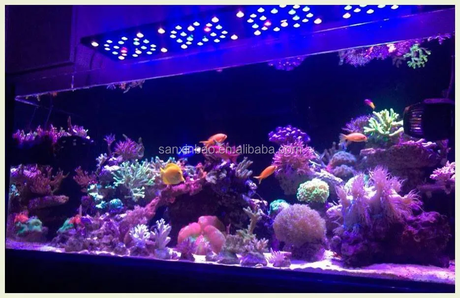 Светодиодный светильник для аквариума, 2017 evergrow не Новый IT5080 интеллигентая (ый) коралловых рифов 32 дюйма светодиодная аквариумная лампа