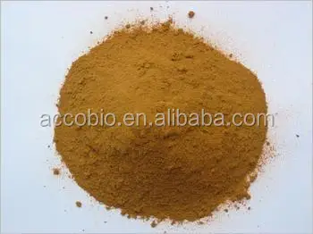 
Best Price Food Grade Chinese Goldthread root extract Powder 6% berberine 
