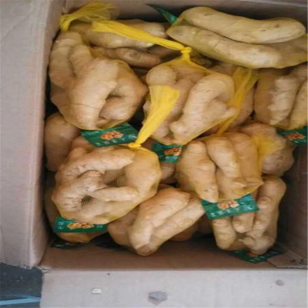 
Carton fresh ginger mesh bag fresh ginger 