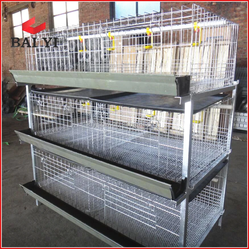 cheap broiler breeder cage for 1000 birds