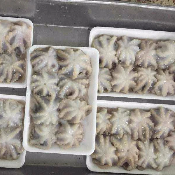 Wholesale frozen baby octopus price