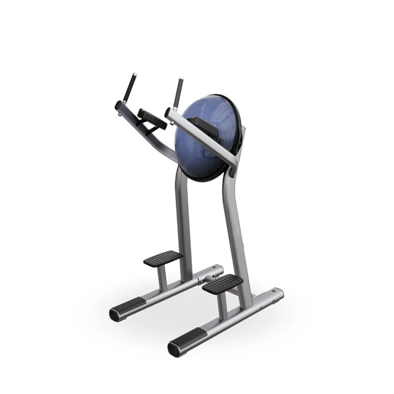 Club Gym Fitness Equipment Leg Raise Machine