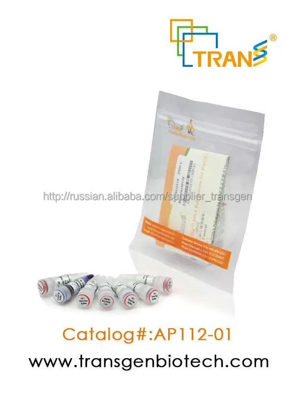 Easytaq днк-полимеразы за страницей