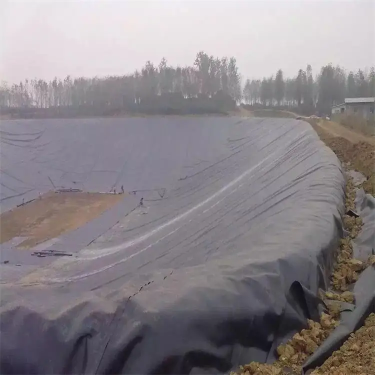 Заводская Высококачественная геомембрана hdpe 1 мм 0 75 или 5 подкладка для рыбного