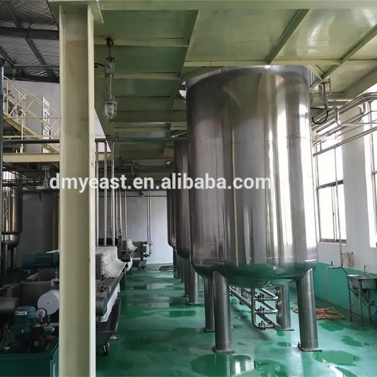 
Instant Dry Yeast 500g 