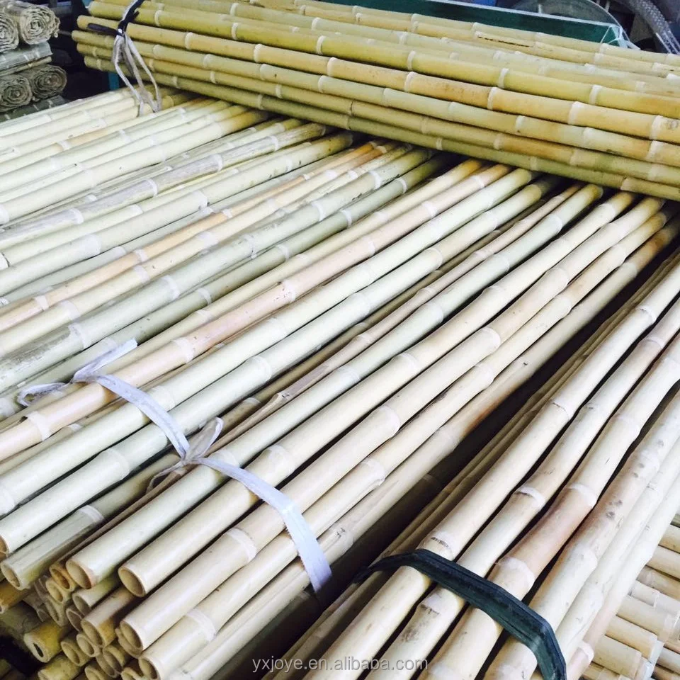 wholesale natural straight moso bamboo poles with decorative plants growing and construction
