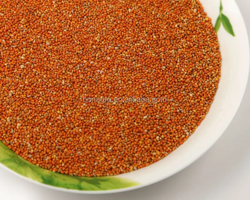 Корм для птиц, просо/красный/шелуха, китайский поставщик