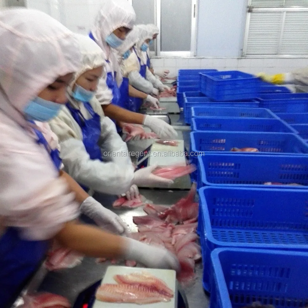 
TREATED IQF tilapia fillet 2-3OZ 