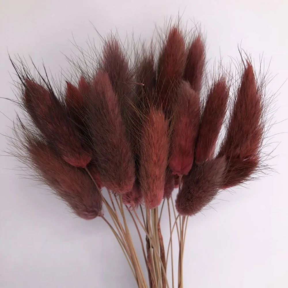 
Wholesale immortal grass immortal flower uraria crinita for home decoration 
