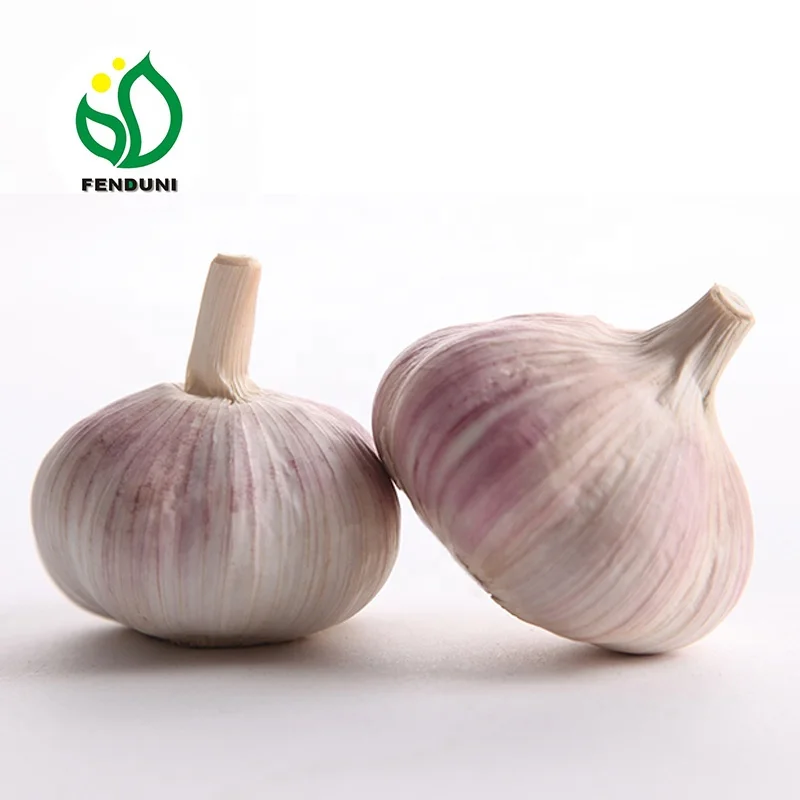 
China fresh Garlic Supplier , New Crop Low Price 