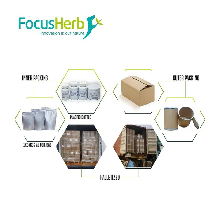 
Pure Natural Water Soluble Spray-dried Cranberry Juice Powder 