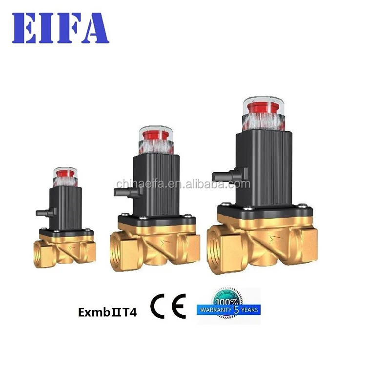 
12V solenoid valve for LPG LNG Gas alarm gas valve 