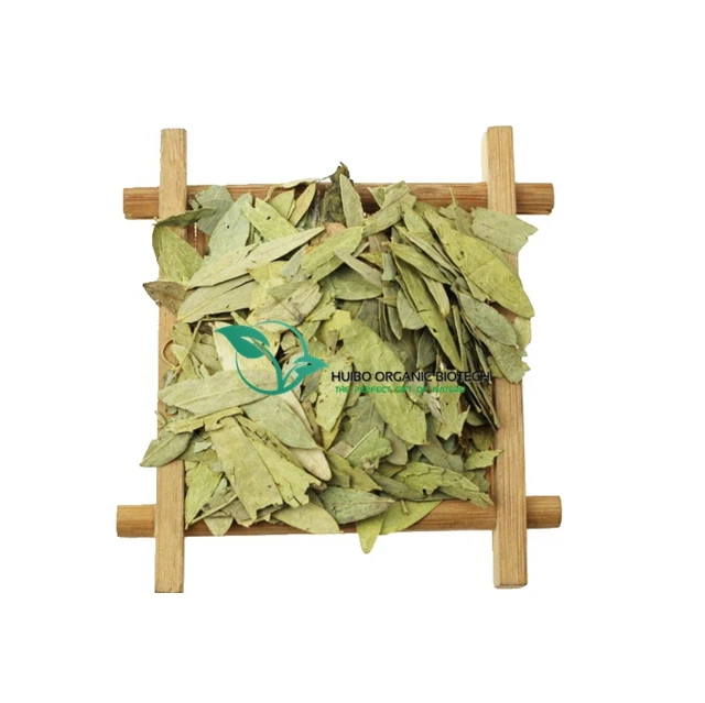 Senna Leaf raw / powder /senna tea / senna extract