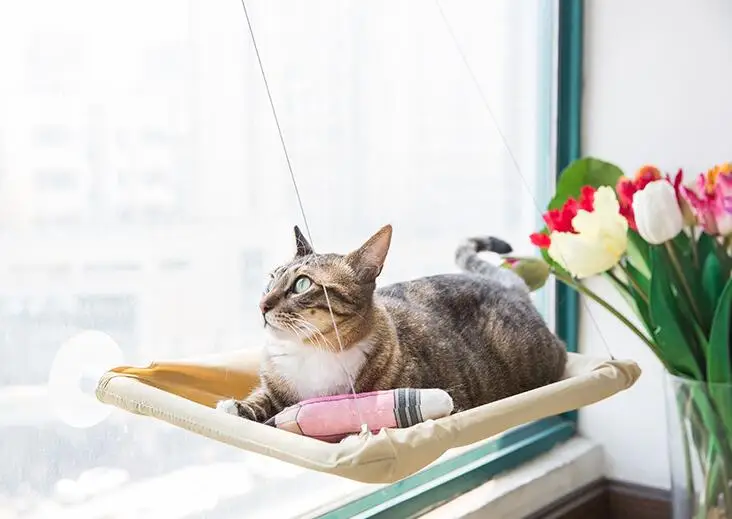 Seat Basking Hanging Shelf Window-Mounted Hammock Cat Bed with Strong Suction Cup Sunny Swing Durable Oxford