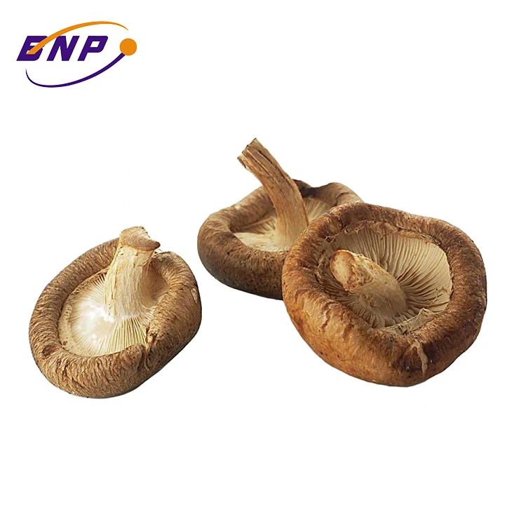 Maitake/Reishi/Shitake порошок экстракта грибов