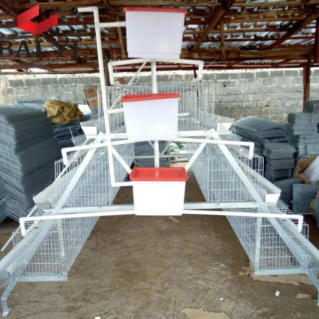 chicken cages galvanized and accessories poultry equipment qatar