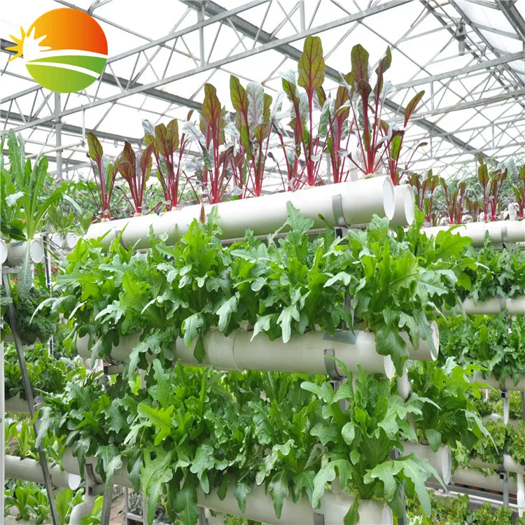 hydroponic greenhouse China Gold Supplier