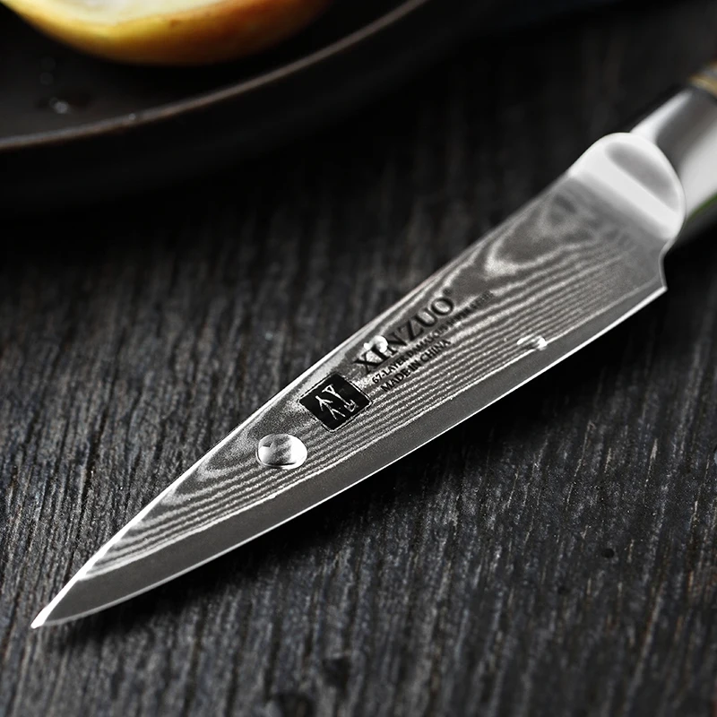 Professional Japanese classic 3 inch rosewood handle Damascus steel kitchen paring knife