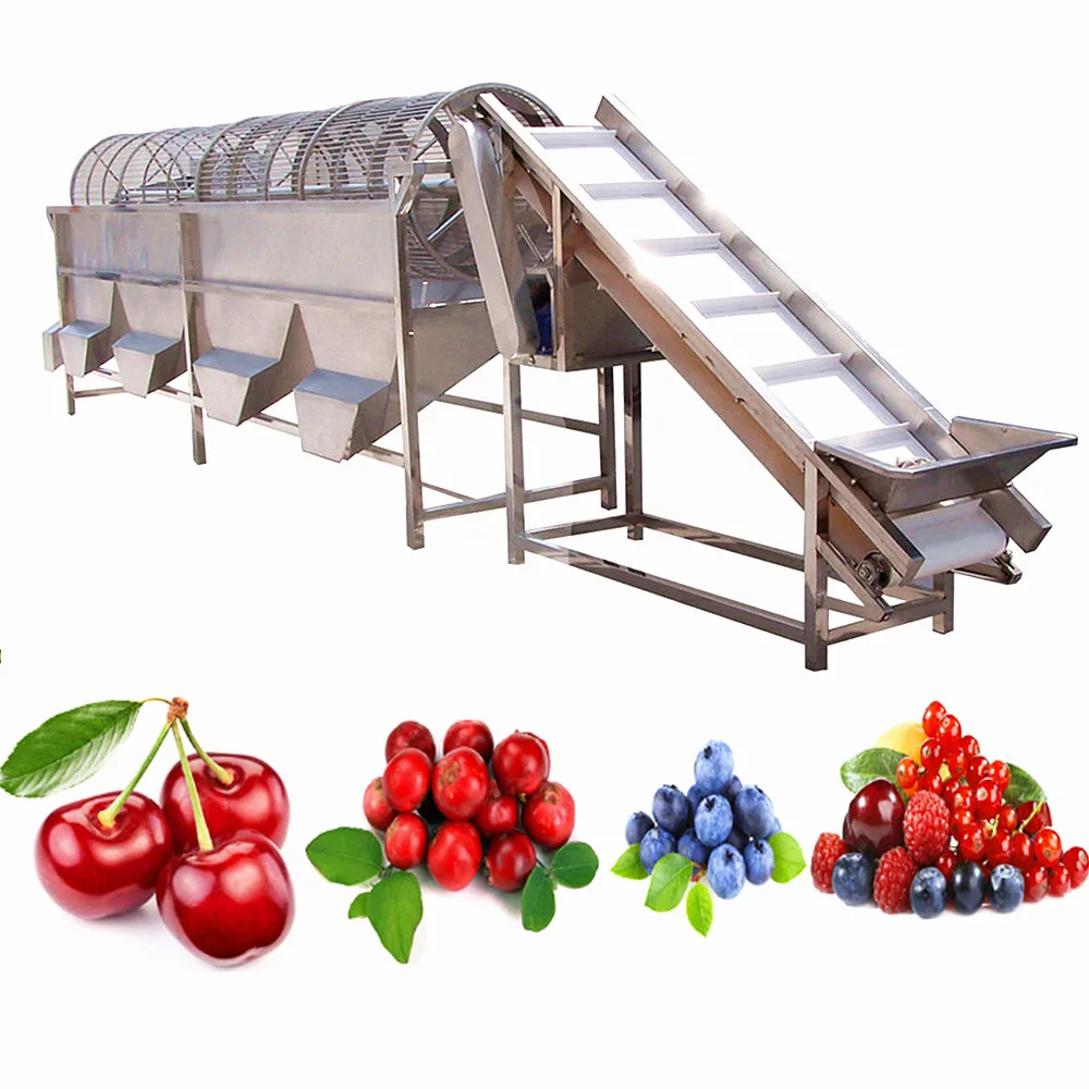 Fruits and Vegetables Processing Line for Olive Washing Machine with Olives Sorting Equipment